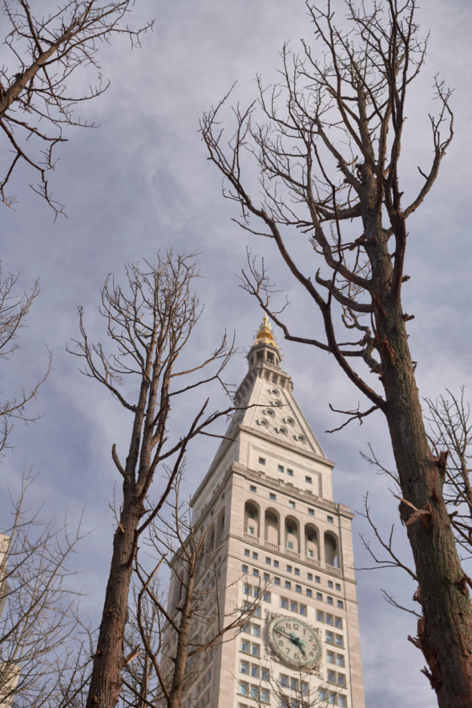 Skyward installation view of 'Ghost Forest' by Maya Lin with Clocktower in the Background