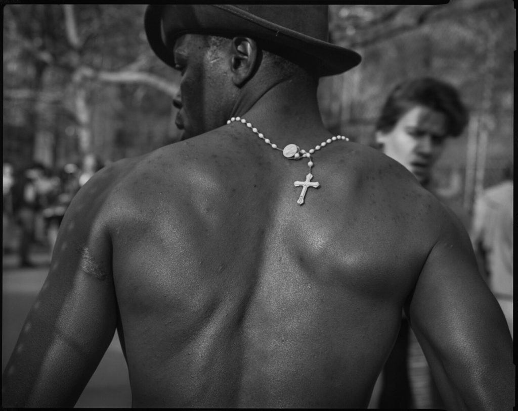 Photograph by Frank Stewart