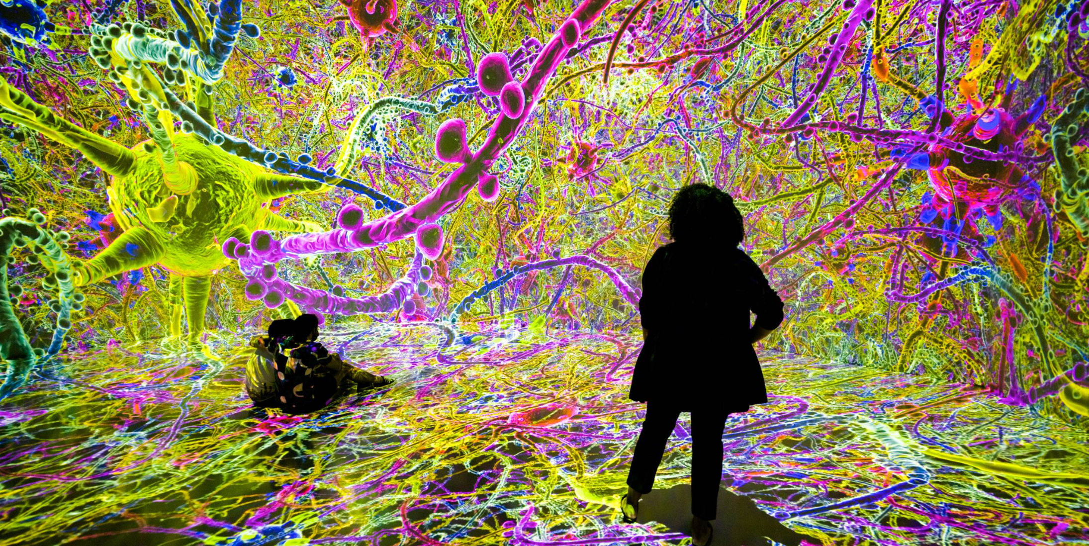 Inside ARTECHOUSE, an immersive experience