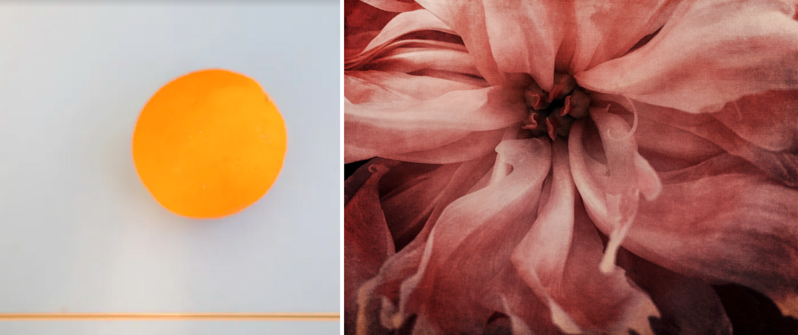 Two artworks, one my Monica McGivern, one by Wendi Schneider